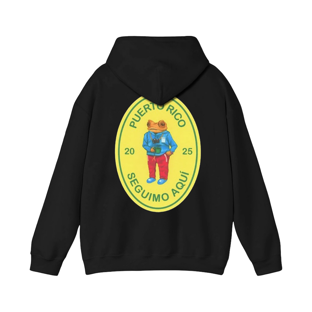 Seguimo Aquí Coquí - Hoodie - DtMF Merch