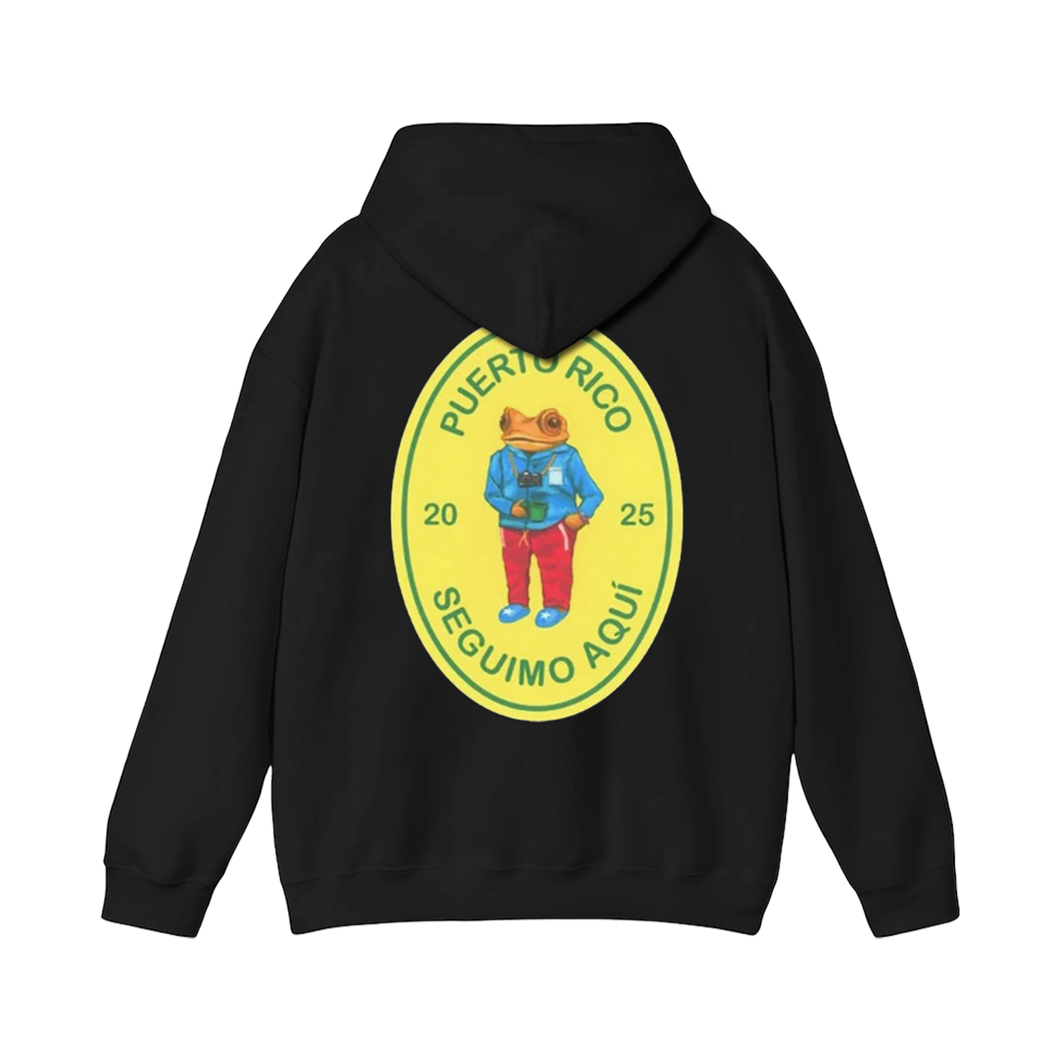 Seguimo Aquí Coquí - Hoodie - DtMF Merch