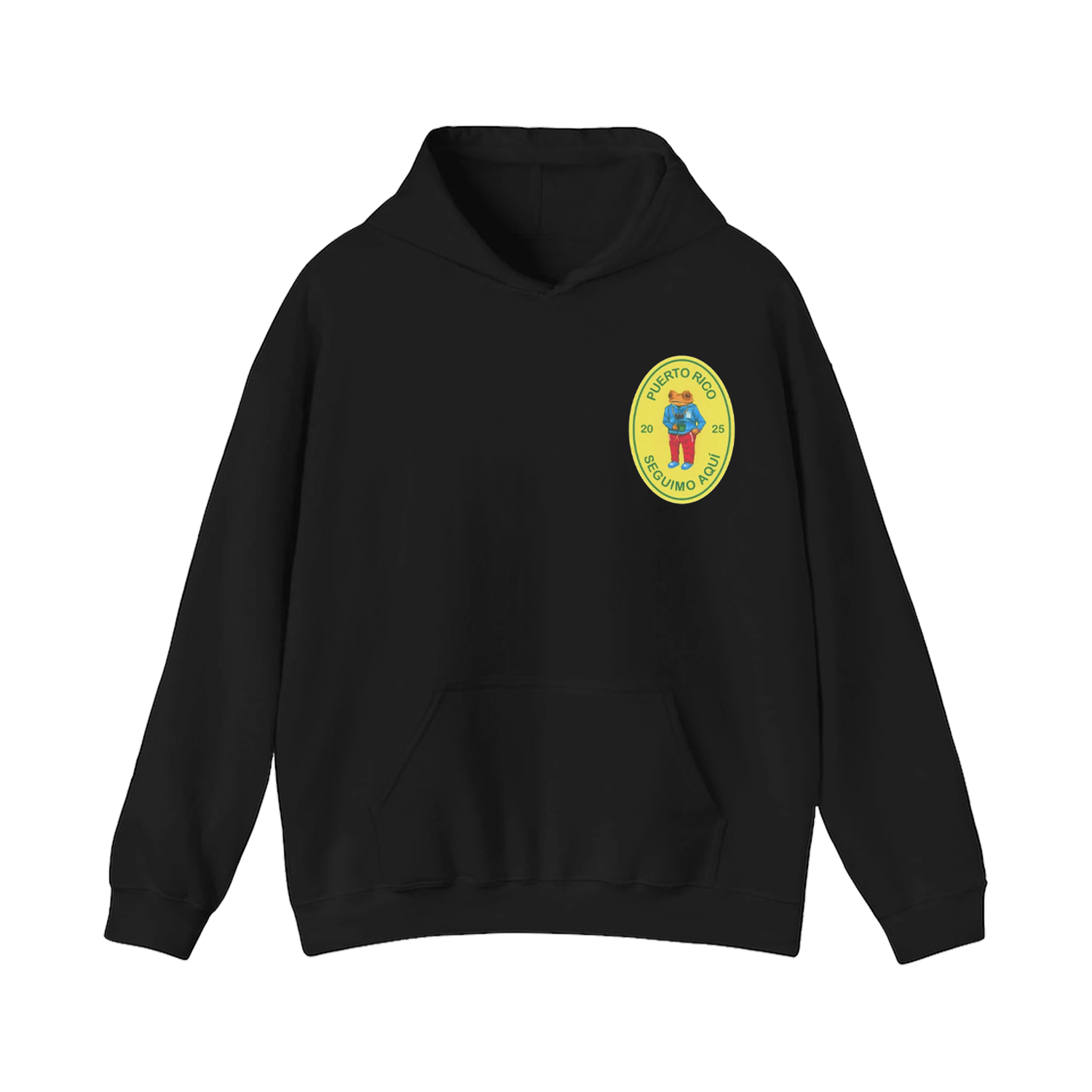 Residencia en el Choli Tour - Hoodie - DtMF Merch